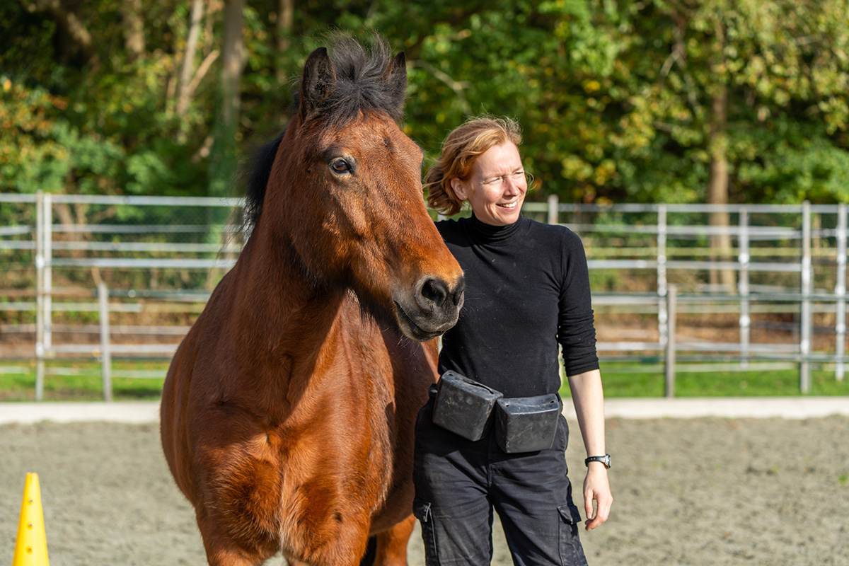 Afbeelding van Annie met paard
